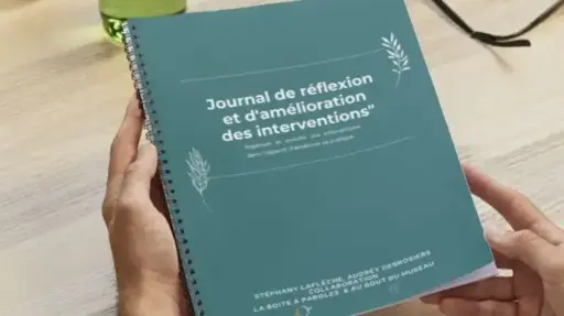 Journal de réflexion et d'amélioration des interventions